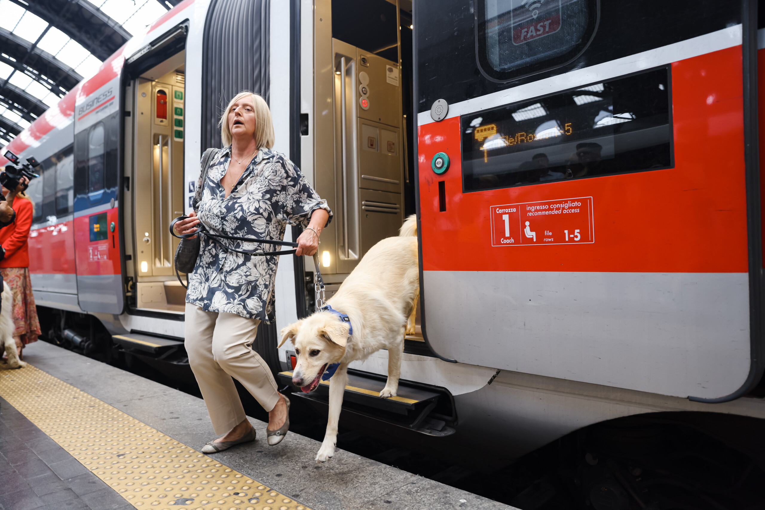 Trenitalia: dogs travel free on Frecce and Intercity trains until 15 September