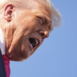 Trump: ‘Patriot missiles already shipped to Kiev from Germany’