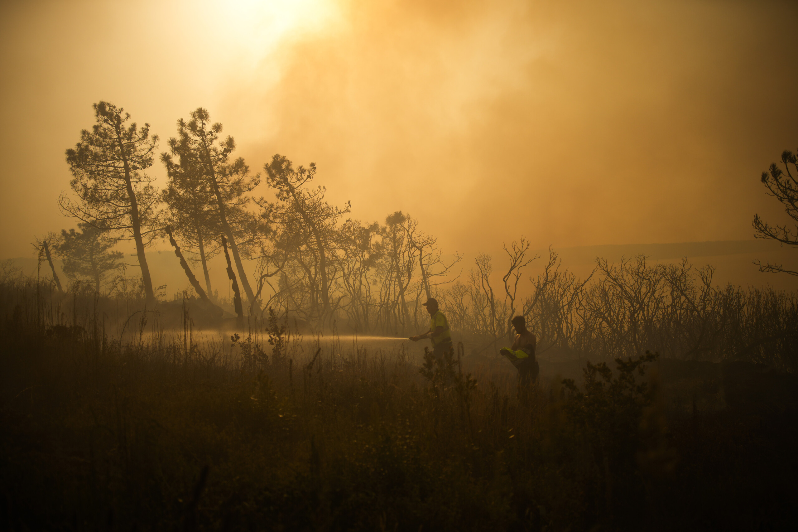 Turkey gripped by wildfires: evacuations underway in İzmir Province