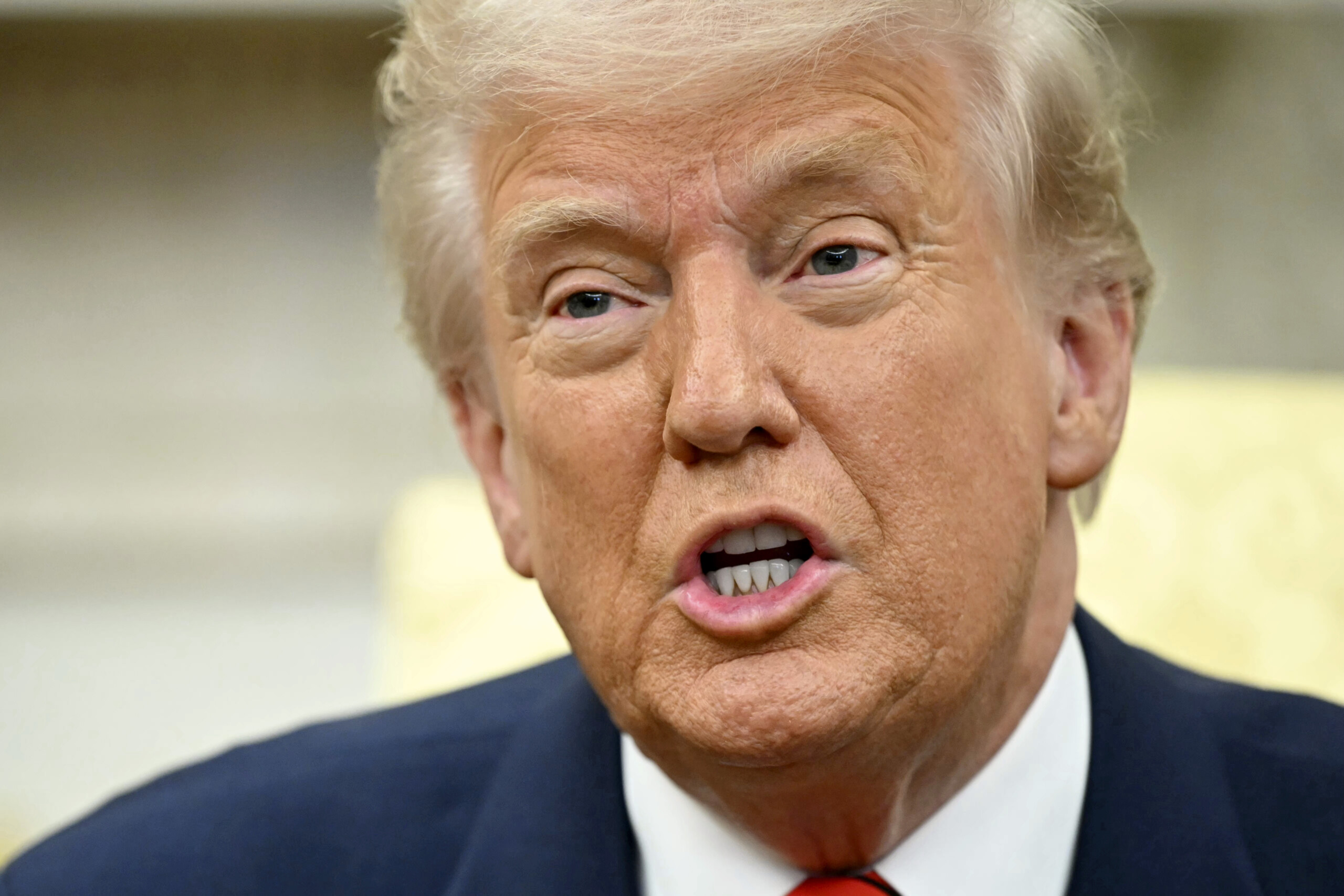 Ukraine, Trump: "We will ensure that Russia does not attack U.S. allies"