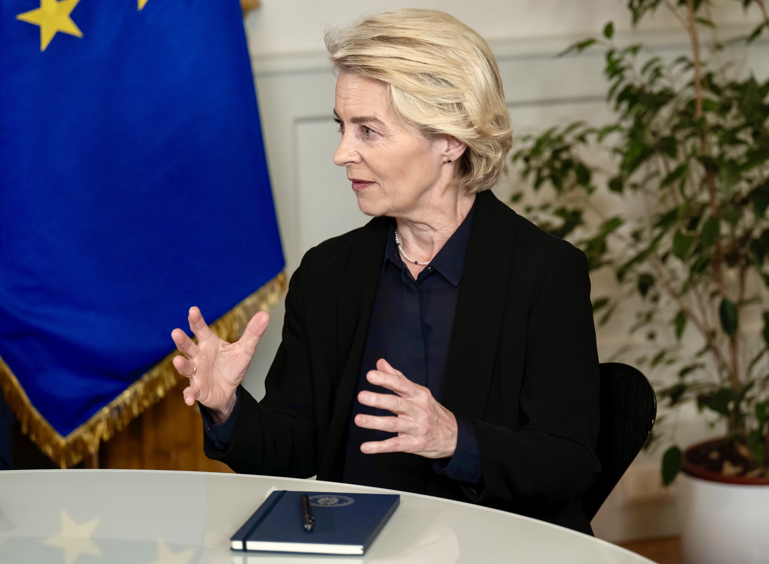Ukraine, von der Leyen: "Grateful to Trump for tireless US efforts and commitment"