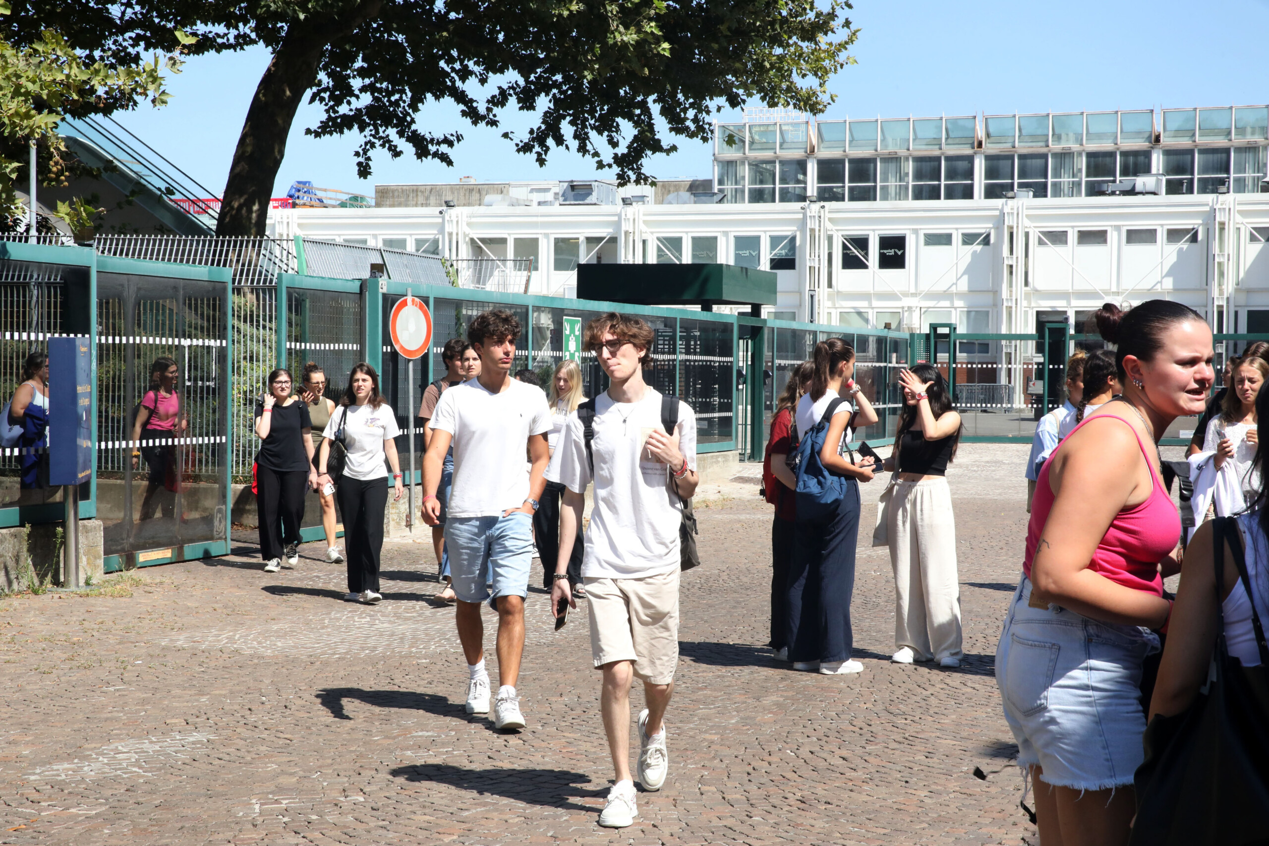 Universities, Mur: 24,026 places available for Medicine and Surgery
