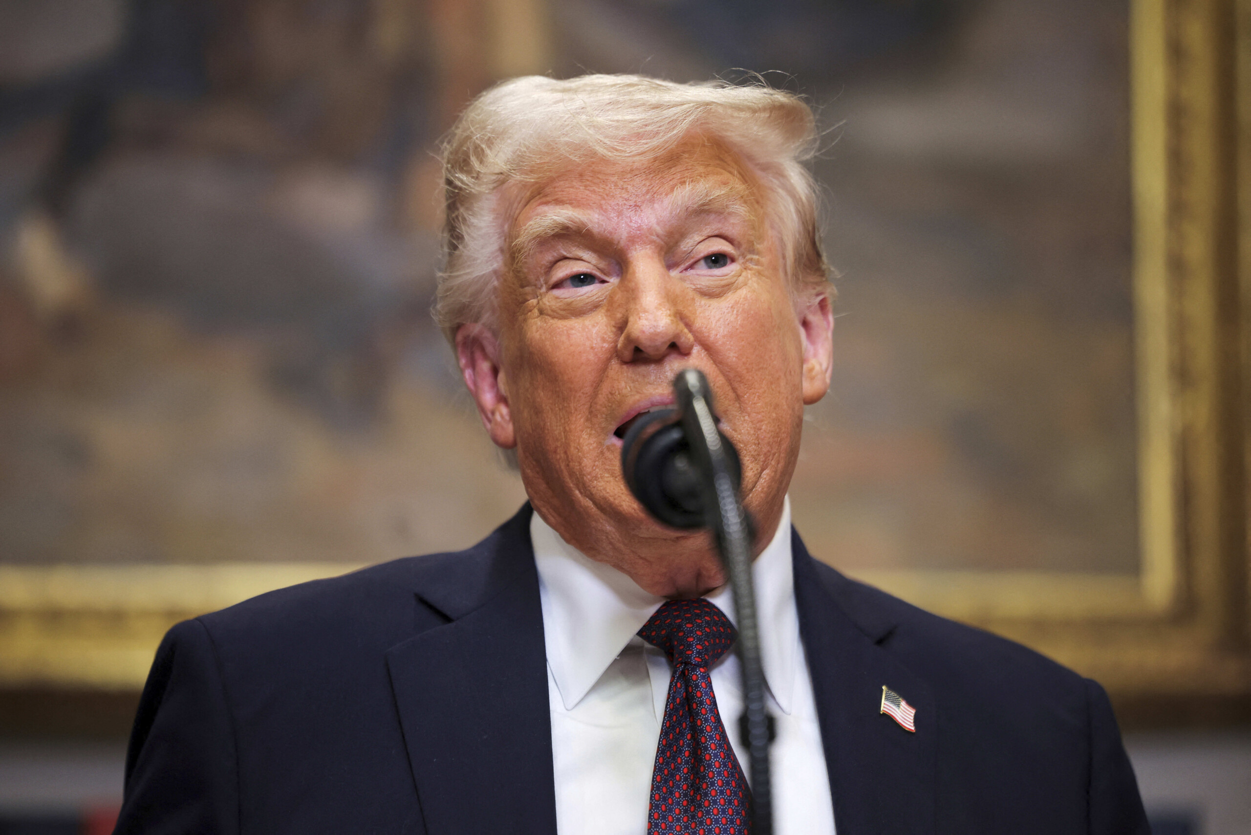 USA, Trump: "I agree with Vance, Europeans are parasites"