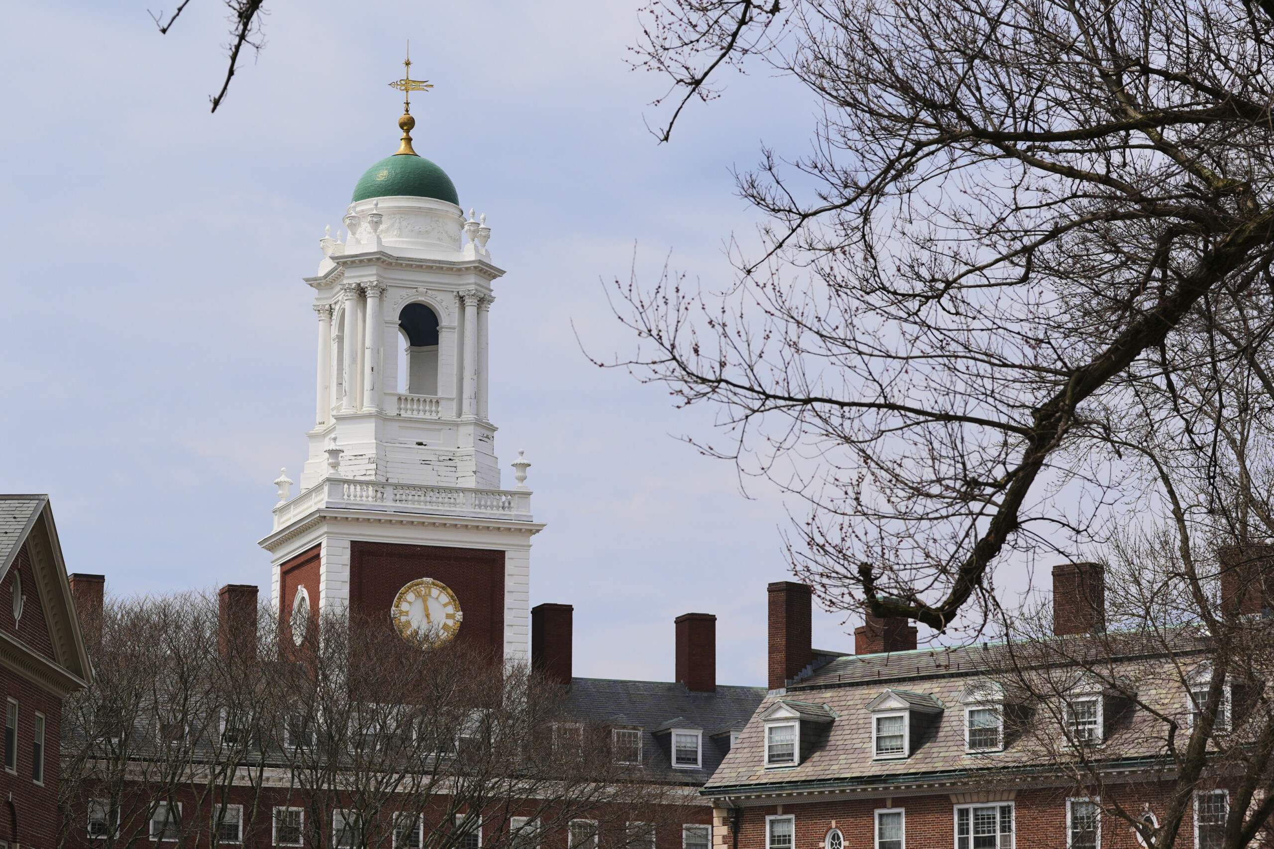 USA, Trump: "We will revoke Harvard’s tax exemption" USA, Trump: "We will revoke Harvard’s tax exemption"