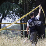 Villa Pamphili murder: documents acquired by the public prosecutor's office from the MIC on tax credits for Kaufmann film