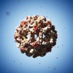 West Nile: first death in Campania, 80-year-old from Caserta province
