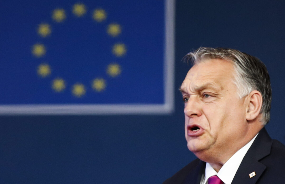 Salis case, Budapest: “European Parliament legitimizes left-wing terrorism”