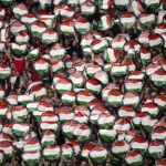 Ilaria Salis, Hungary: ‘With immunity, the EP defends ideology rather than justice’