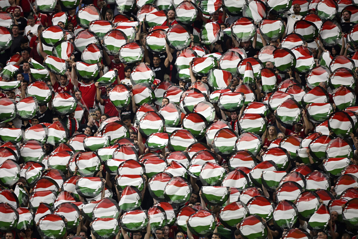 Ilaria Salis, Hungary: ‘With immunity, the EP defends ideology rather than justice’