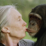 Science: Jane Goodall, ethologist famous for her studies on chimpanzees, has died