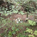 Mountain: French hiker found dead in the Apuan Alps