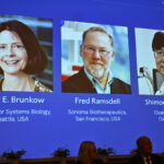 Nobel: first prize in Medicine to Mary E. Brunkow, Fred Ramsdell and Shimon Sakaguchi
