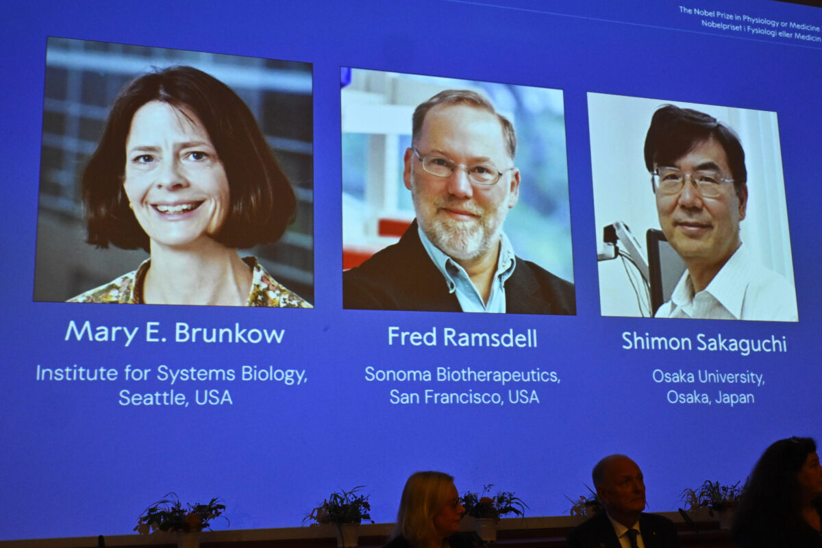 Nobel: first prize in Medicine to Mary E. Brunkow, Fred Ramsdell and Shimon Sakaguchi