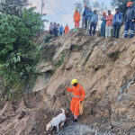 India, landslide engulfs bus: at least 15 dead