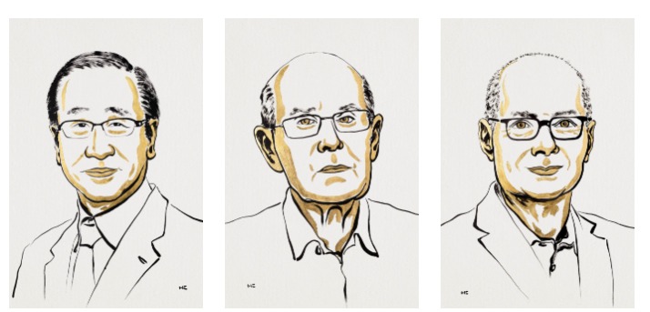 Nobel Prize in Chemistry awarded to Kitagawa, Robson and Yaghi