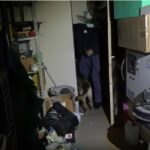 Reggio Calabria: newborns found dead in wardrobe, mother under house arrest