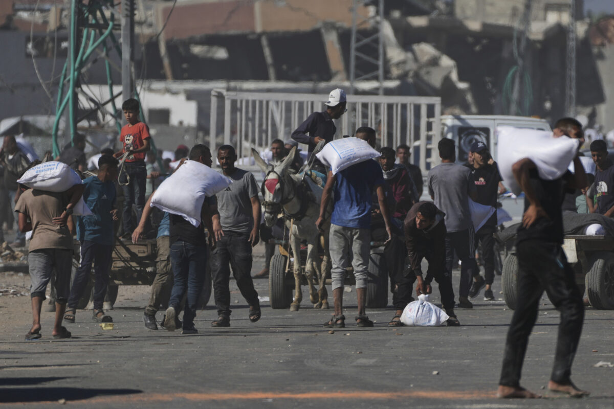Gaza, WFP: ‘Our aid trucks have arrived in the Strip’ Gaza, WFP: ‘Our aid trucks have arrived in the Strip’