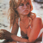 Cinema, media: Brigitte Bardot hospitalized and operated on for ‘serious illness’