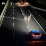 Macerata: van assault, four fugitives sought