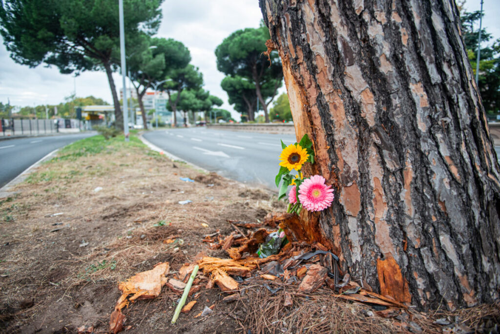 Rome accident: autopsy on 20-year-old woman who died from chest injuries