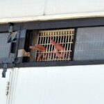 Gaza, Guardian: ‘Dozens of Palestinians in underground prison in Israel’