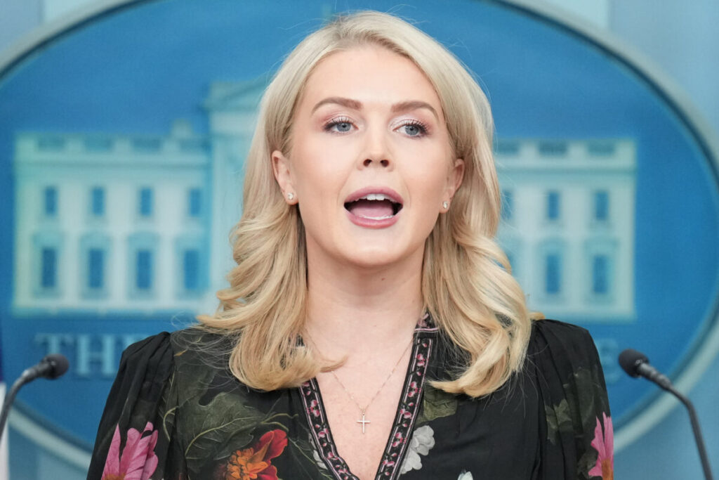 USA, White House: “On the Epstein case, Democrats want to smear Trump”