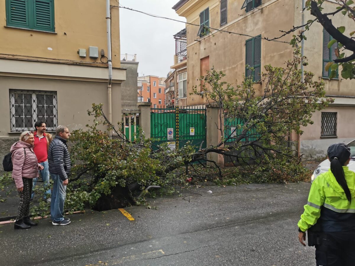 Bad weather: tornado in Genoa, overturned lorry and landslide in Pegli Bad weather: tornado in Genoa, overturned lorry and landslide in Pegli