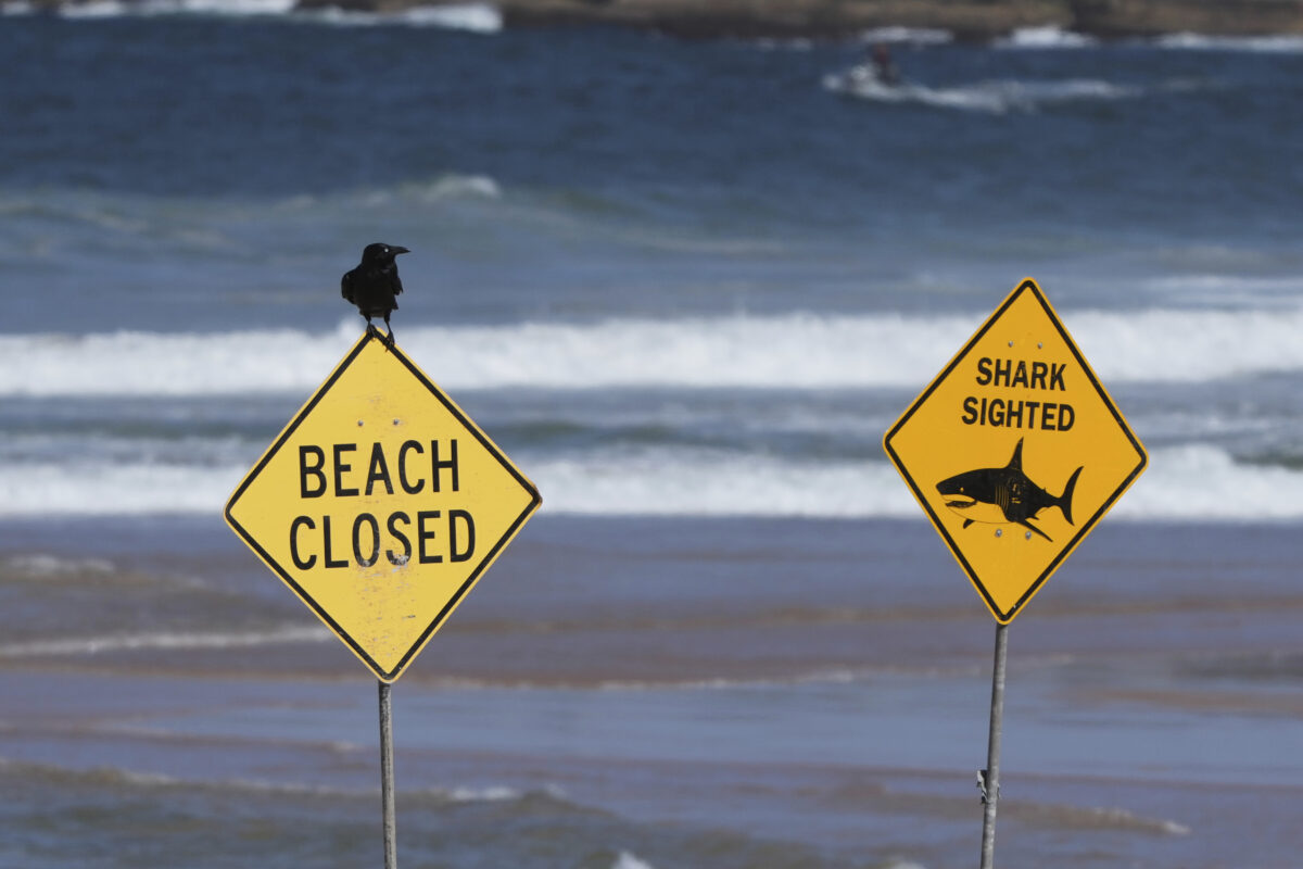 Australia: shark kills woman and injures man who was swimming with her Australia: shark kills woman and injures man who was swimming with her