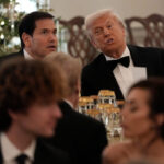 Ukraine, Trump: ‘A little disappointed with Zelensky, he is not ready to sign peace proposal’