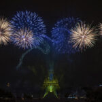 New Year’s Eve: WWF appeal to local councils to stop fireworks and firecrackers