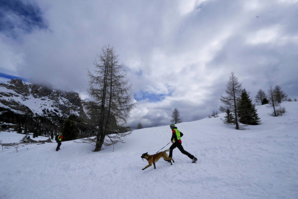 Avalanche in Val di Susa, alarm raised by ski instructor