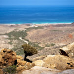Yemen, 86 Italians stranded on the island of Socotra