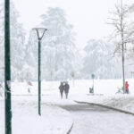 Belgium: orange alert for snow, 40 flights cancelled in Brussels