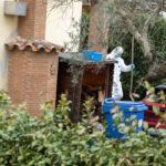 Anguillara, family lawyer: ‘Federica would never have left her son’