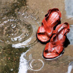 Femicide, rights report: “In Italy, systemic violence against women”