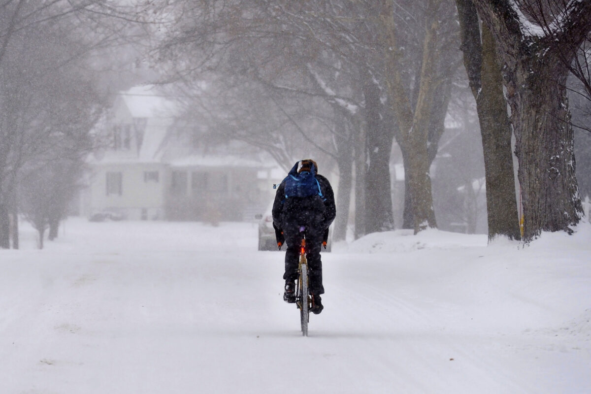 U.S., exceptional cold wave: Florida prepares for possible snowfall
