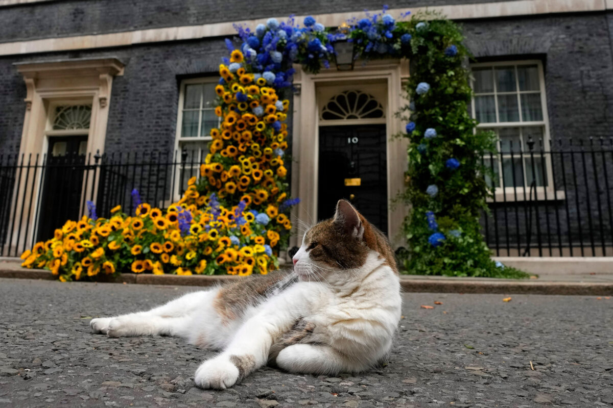 “Larry the Cat” has been at Downing Street for 15 years, brought there by Cameron “Larry the Cat” has been at Downing Street for 15 years, brought there by Cameron
