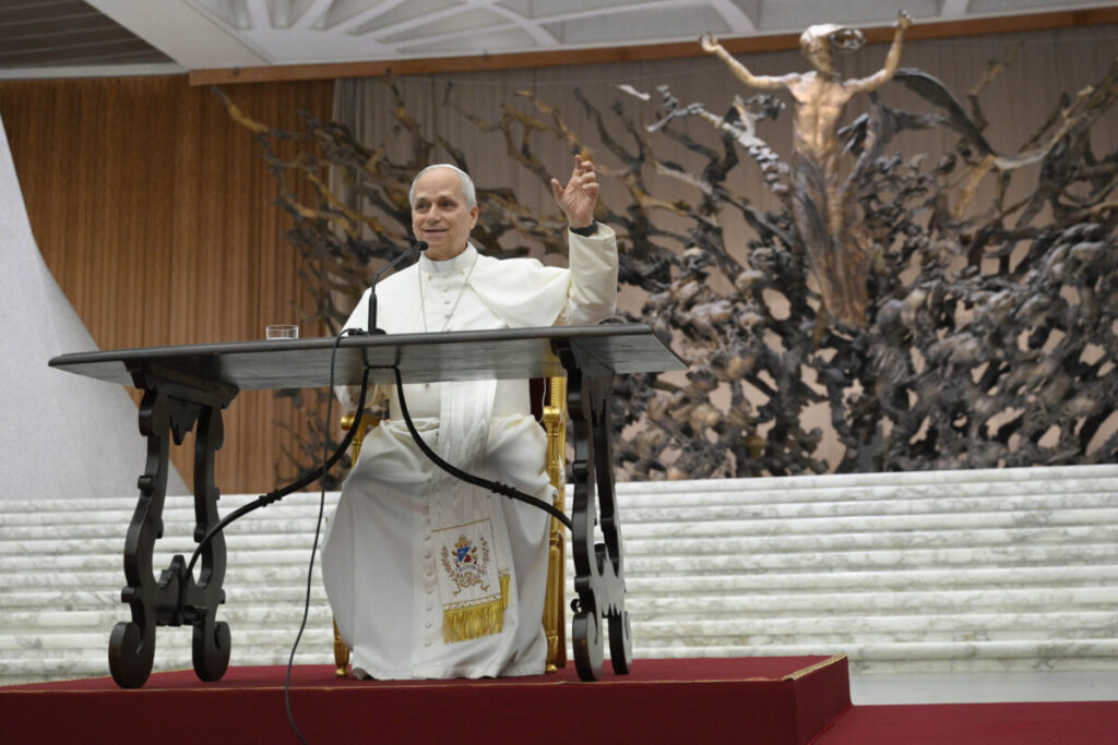 Pope Leo XIV: ‘Politics and economics cannot be sustained by solitary leaders’