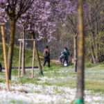 Rogoredo, police officer arrested for voluntary manslaughter