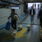 Iran, IDF: “Missiles from Tehran toward Israel after five-hour pause”