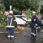 Bad weather in Calabria, Council of Ministers declares state of emergency for one year