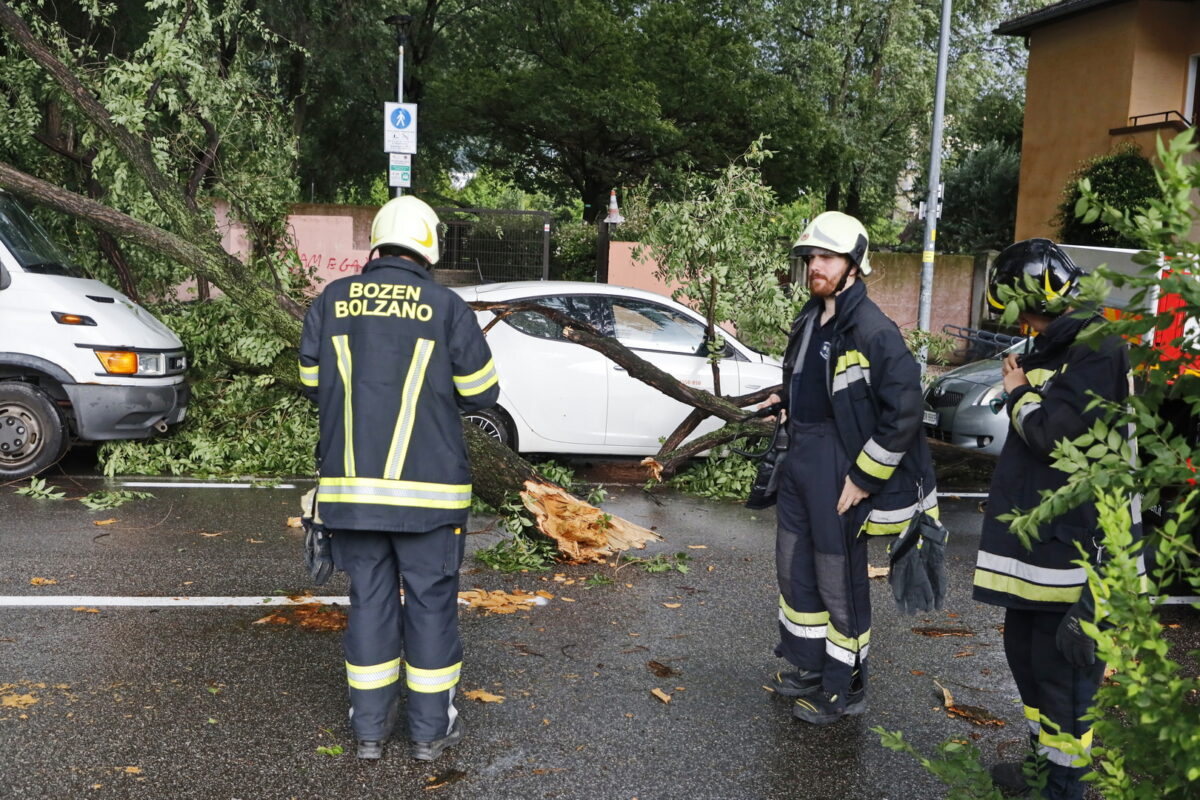 Bad weather in Calabria, Council of Ministers declares state of emergency for one year