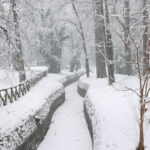 Molise: snow in the mountains, with flurries also in Campobasso