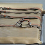 Israel: Italy, Germany, France and the UK oppose death penalty bill