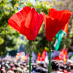 25 April: Air gun shots fired in Schuster Park; couple injured