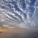 Iran, BBC: ‘2,400 seafarers stranded in Hormuz, no certainty over their return’