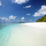 Maldives: Five Italians die whilst scuba diving