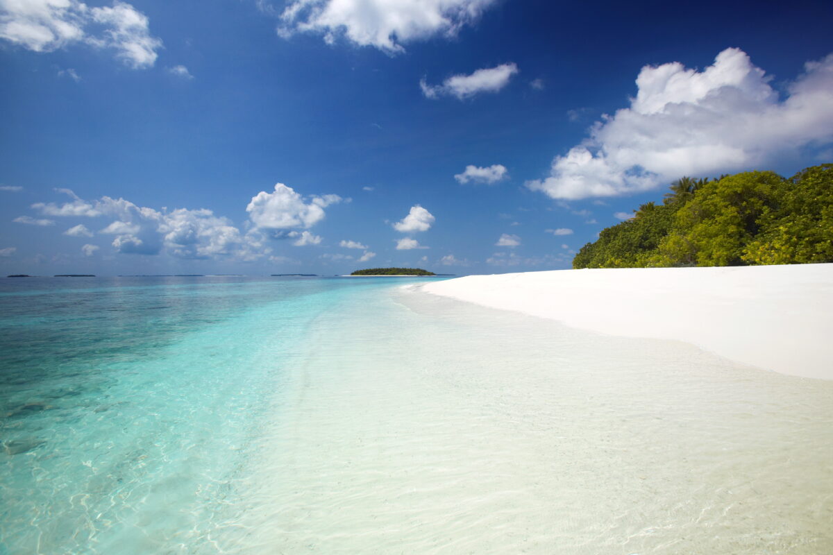 Maldives: Five Italians die whilst scuba diving