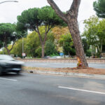 Traffic accidents: 20-year-old woman who died in Rome under investigation; illegal street race ruled out