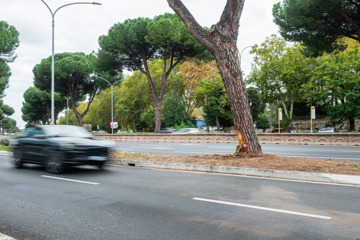 Traffic accidents: 20-year-old woman who died in Rome under investigation; illegal street race ruled out